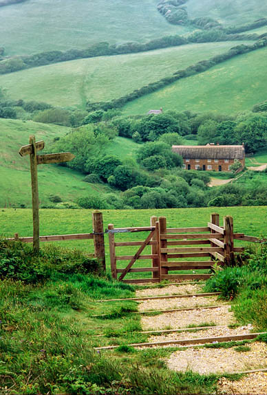 ENG: Southern Region, Dorset, Dorset AONB, Dorset's Southwest Coast, Golden Cap, Dorset Coast Path, on top of Golden Cap, crossing a fence with a stile [Ask for #201.014.]