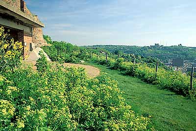 ENG: South East Region, Kent, The White Cliffs of Dover, Dover (City), The Western Heights, St. Martin's Battery, a Napoleonic gun battery rebuilt in World War II. View towards Dover Castle. [Ask for #239.209.]