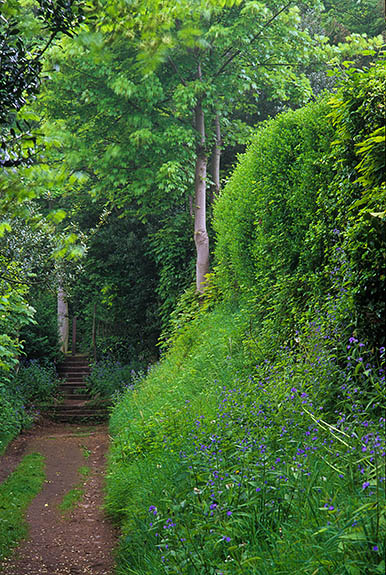 ENG: Cheshire , The Wirral, Burton, "The Rake", a back lane and public footpath leading to the Burton Woods (NT) [Ask for #246.139.]