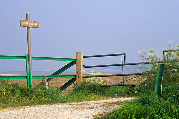 WAL: Flintshire County, The Mouth of the Dee Estuary, Talacre, Footpath along dune top above beach town, signposted to a blind for the Royal Society for Preservation of Birds (RSPB) [Ask for #246.197.]