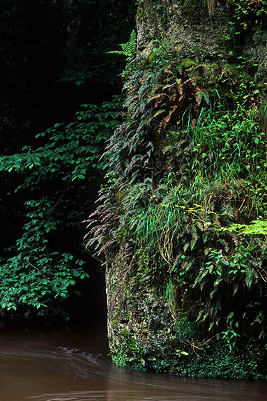 ENG: West Midlands Region, Staffordshire, Peak National Park, The River Dove, Beresford Dale, Pike Pool. The Pike, a limestone column, rises out of the River Dove. [Ask for #246.230.]