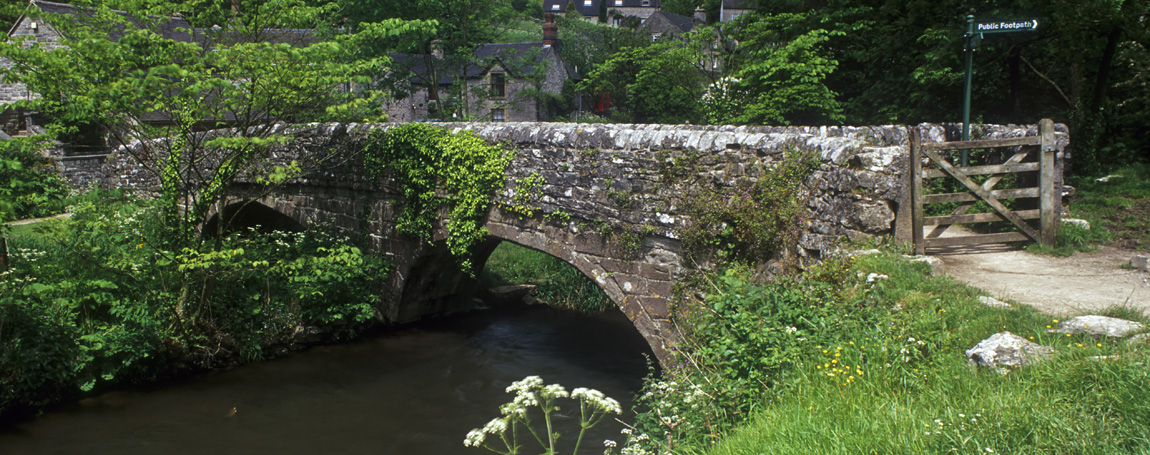 ENG: East Midlands Region, Derbyshire, Peak National Park, The River Dove, Milldale, Medieval packhorse bridge over the River Dove, in the center of the village; riverside spring flowers [Ask for #246.294.]