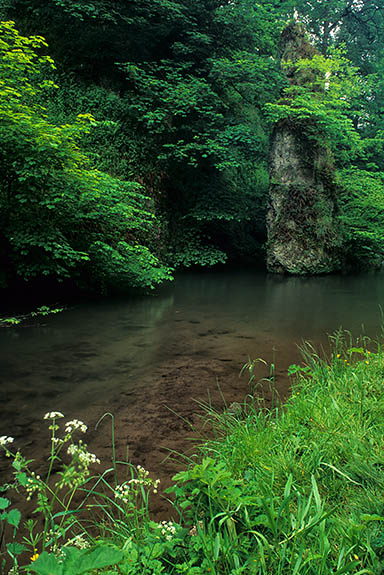 ENG: West Midlands Region, Staffordshire, Peak National Park, The River Dove, Beresford Dale, Pikes Pool, a limestone spire in the middle of the River Dove [Ask for #246.340.]