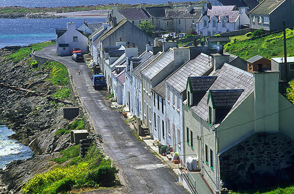 SCO: Argyll & Bute , Inner Hebrides, Islay, Portnahaven, View down low cliff in spring flowers, towards fishing village below [Ask for #246.551.]