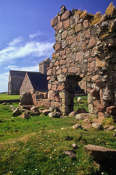 SCO: Argyll & Bute , Inner Hebrides, off Mull, Isle of Iona, Iona Abbey. View from the ruins of the Tigh an Easbuig (17th C Bishop's House) towards the restored 13th C. abbey; sheep [Ask for #246.589.]