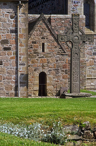 SCO: Argyll & Bute , Inner Hebrides, off Mull, Isle of Iona, Iona Abbey. White spring flowers by the front entrance to restored 13th C abbey; St Johns Cross (replica, 8th C) in front of St. Columba's Shrine (8th C) [Ask for #246.649.]