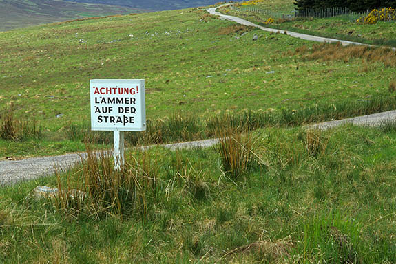 SCO: Highland Region, Sutherland District, Central Moors, Altnaharra, Sign on country lane, in German, warning of lambs on road [Ask for #246.893.]