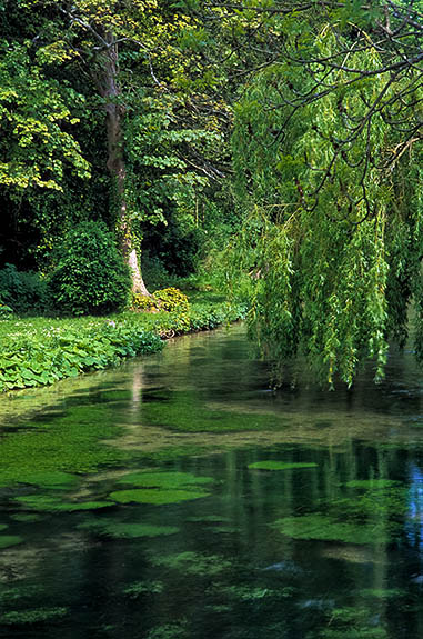 ENG: South East Region, Hampshire, The North Downs, The Upper Test Valley, Freefolk, View of the River Test, showing the bank vegetation and the clear water; see "Watership Down", p369 [Ask for #253.088.]