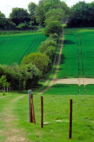 ENG: South East Region, Hampshire, North Wessex Downs AONB, Watership Down, Downlands, Arable fields cover the rolling hills south of the down's crest; see "Watership Down", p267 [Ask for #253.098.]