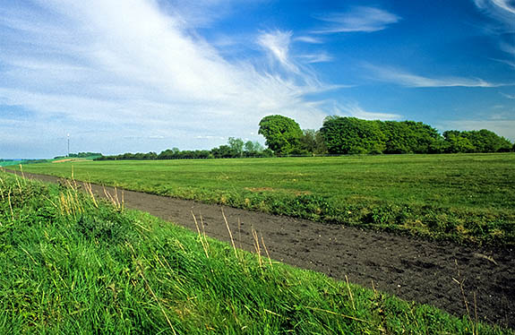 ENG: South East Region, Hampshire, North Wessex Downs AONB, Watership Down, Horse gallop covering most of the crest of Watership Down [Ask for #253.107.]