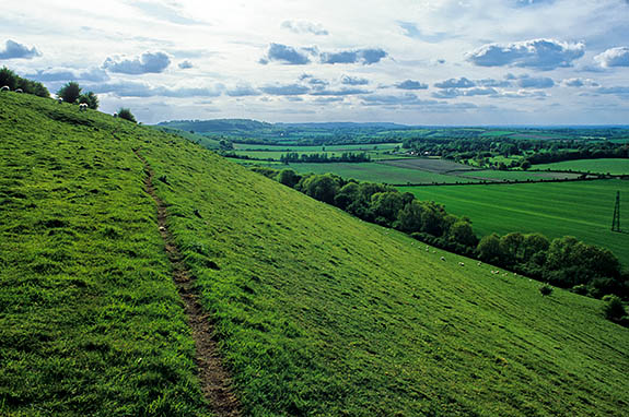 ENG: South East Region, Hampshire, North Wessex Downs AONB, Watership Down, View over the steep north face of Watership Down [Ask for #253.108.]