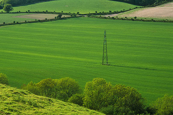 ENG: South East Region, Hampshire, North Wessex Downs AONB, Watership Down, View over the steep north face of Watership Down, showing pylons described p128 [Ask for #253.116.]