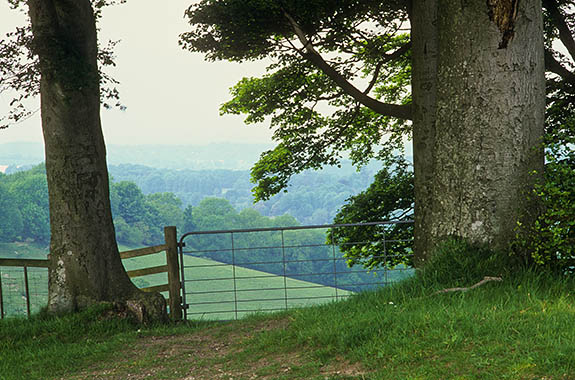ENG: South East Region, Hampshire, North Wessex Downs AONB, Watership Down, Wayfarer's Walk (path) from Watership Down to Ladle Hill, View across a gate over the down's steep northern face [Ask for #253.146.]