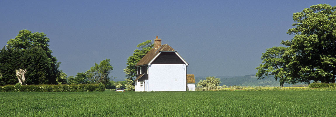 ENG: South East Region, Kent, Romney Marsh, Romney Marsh's Interior, St. Mary-in-Marsh, Cottage set in fields in early spring crops [Ask for #256.524.]