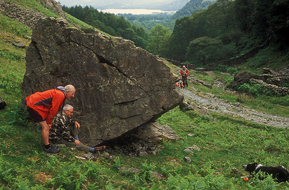 ENG: Cumbria , Lake District N.P., Keswick-Borrowdale Area, Broadstack Gil (NT). Search and Rescue Dogs Assoc. (Lake District) training session. Search dog trainee Fly, w. handler Mike Hadwin, plays w. toy after finding "body" Geoff Faulkner [Ask for #259.156.]