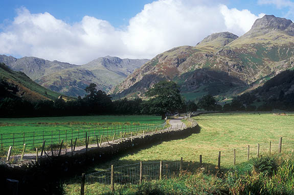 ENG: The Northwest Region, Cumbria, Lake District National Park, Central Lakes Area, Great Langdale, A narrow lane, flanked by dry laid stone walls, heads towards the cliff-sided peaks of Langdale Pikes [Ask for #262.433.]