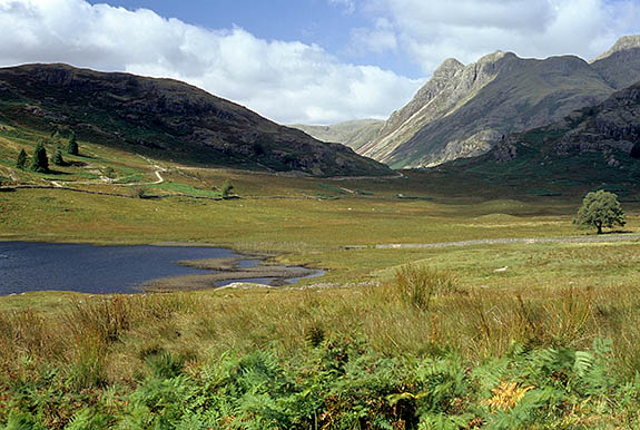 ENG: The Northwest Region, Cumbria, Lake District National Park, Central Lakes Area, Little Langdale, View south over Blae Moss [Ask for #262.441.]