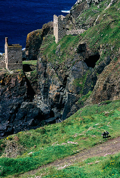 ENG: Cornwall , Cornwall AONB, Penwith Peninsula, Botallack Tin Mine (abnd 1914). The Crown Engine Houses (1832, 1865) perched on the cliffs below [Ask for #268.242.]