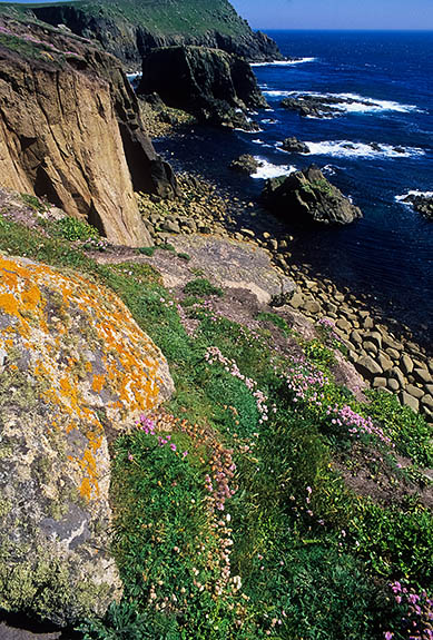 ENG: Cornwall , Cornwall AONB, Lands End, Lands End. Sea cliffs at the tourist attraction [Ask for #268.254.]