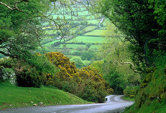 ENG: Devon , Dartmoor National Park, Dartmoor's Southern Edge, Widecombe-in-the-Moor. A narrow lane drops from the open moor into the patchwork fields of Widecombe [Ask for #268.483.]