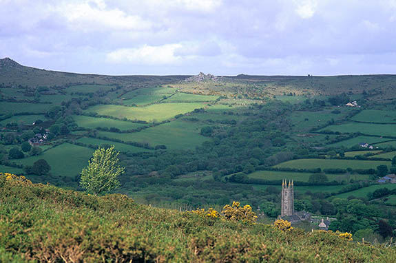 ENG: Devon , Dartmoor National Park, Dartmoor's Southern Edge, Widecombe-in-the-Moor. View from gorse-covered moors over the patchwork fields of Widecombe, with its church tower visible [Ask for #268.496.]