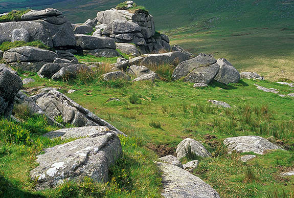 ENG: Devon , Dartmoor National Park, Dartmoor's Western Edge, Nattor Down. View from Ger Tor towards Tavy Cleave, the gorge of the River Tavey [Ask for #268.589.]