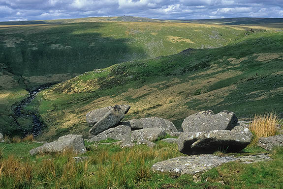 ENG: Devon , Dartmoor National Park, Dartmoor's Western Edge, Nattor Down. View from Ger Tor towards Tavy Cleave, the gorge of the River Tavey [Ask for #268.590.]