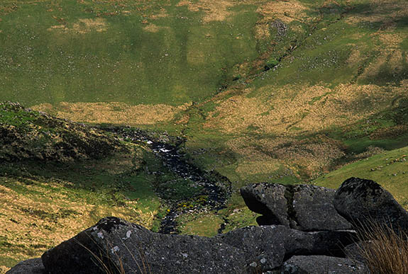 ENG: Devon , Dartmoor National Park, Dartmoor's Western Edge, Nattor Down. View from Ger Tor towards Tavy Cleave, the gorge of the River Tavey [Ask for #268.592.]