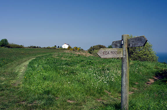 ENG: Yorkshire & Humberside Region, North Yorkshire, North Yorkshire Coast, Sea Cliffs, Ravenscar, Signpoast on The Cleveland Way, a long distance footpath, points to the Ravenscar Tea Rooms, as the path follows cliffs past an isolated farmstead. [Ask for #270.122.]