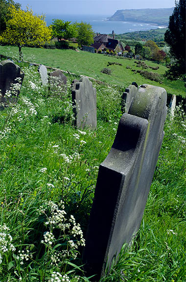 ENG: Yorkshire & Humberside Region, North Yorkshire, North Yorkshire Coast, Sea Cliffs, Robin Hood's Bay, Village churchyard, sitting atop the cliff at the village's medieval site. [Ask for #270.135.]