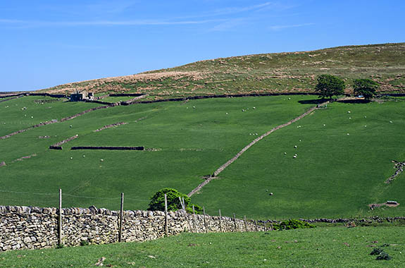 ENG: West Yorkshire , Bradford Borough, Haworth, Haworth Moors. A ruined farmstead sits on the moor's edge, reminiscent of Wuthering Heights [Ask for #270.324.]