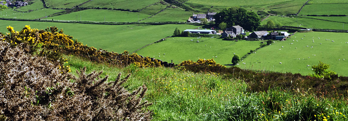 ENG: Yorkshire & Humberside Region, West Yorkshire, Calderdale Borough, Hebden Bridge, Haworth Moors, View over the moors; a farm track runs from hedged farmlands to wild moors, with an isolated Pennine farmstead [Ask for #270.403.]